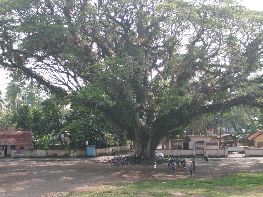 Hebron * Kochi